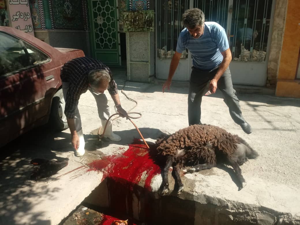 توزيع گوشت قرباني به مناسبت دهه کرامت در شاهرود